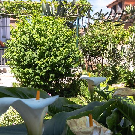 Marjan Hill 3-Br Apt,5 Guests Private Garden Near Beach สปลิท ภายนอก รูปภาพ